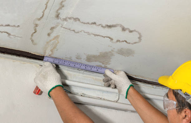 Reliable Water Damage Restoration contractor in Wixom, MI by Water Damage Irwin